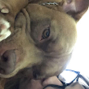 Meet your Posher, Nevaeh